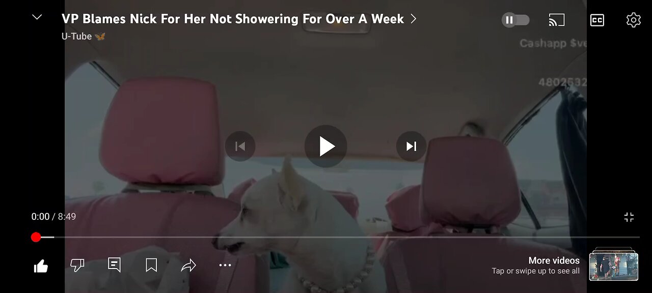 vp the methhead #2 blames others for her poor hygiene