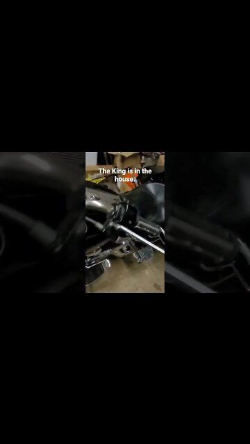 I had to increase the number of horses in my stable. #harleydavidson #motorcycle