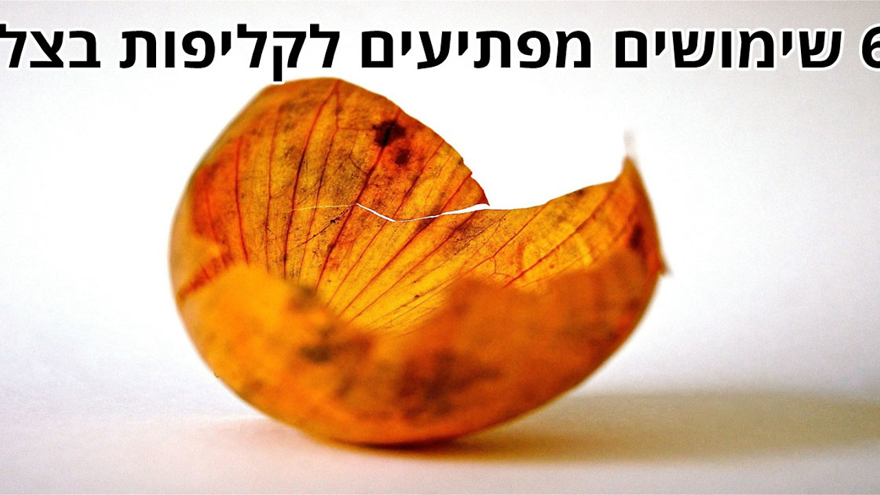 6 דברים נהדרים שלא ידעתם שאפשר לעשות עם קליפות בצל