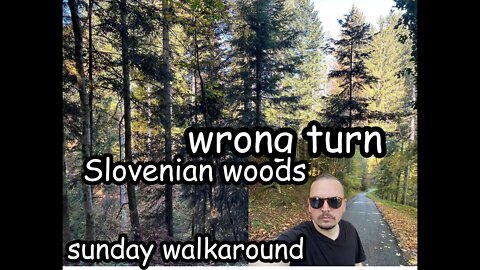 Sunday walk through Slovenian Woods