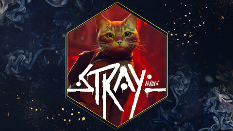 Stray // Livestream // 🐈 100% Pure Gaming Goodness with Extra Cat-astrophe! 🐈