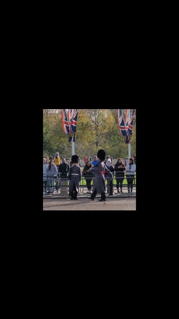 All the kings guard are told to shuff back one by one #buckinghampalace