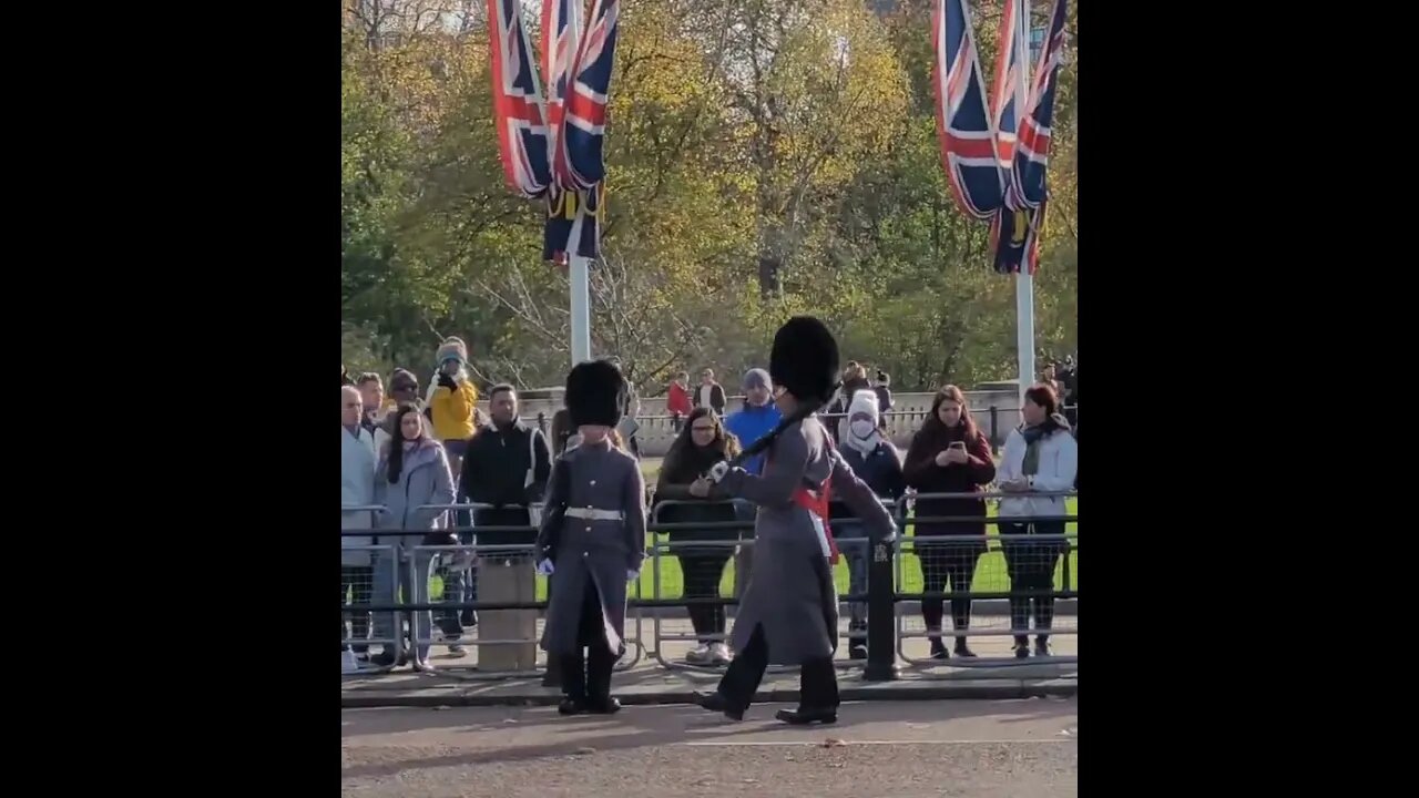 All the kings guard are told to shuff back one by one #buckinghampalace