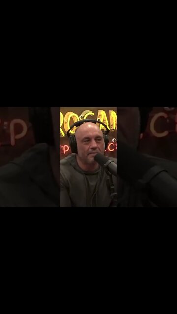 Joe Rogan Finds Out About Brett Favre Scandal