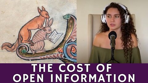 Have We Overlooked the Cost of Open Information?