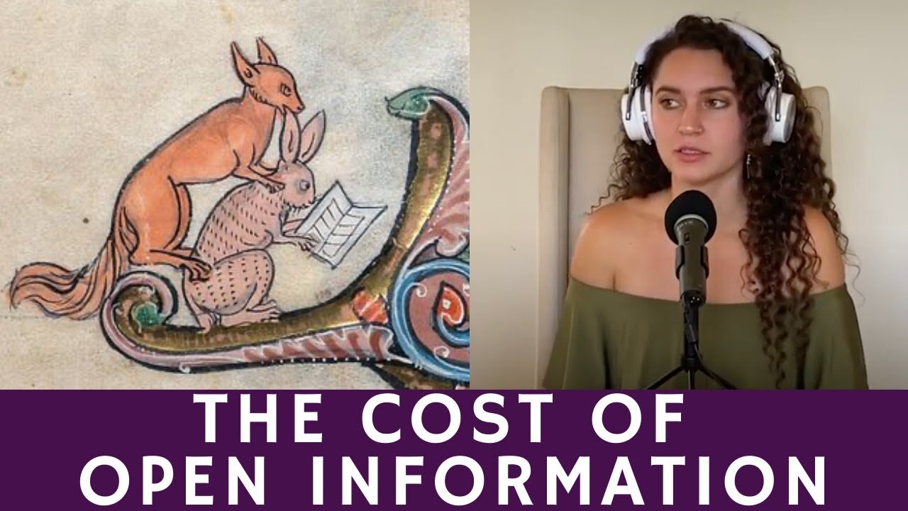 Have We Overlooked the Cost of Open Information?