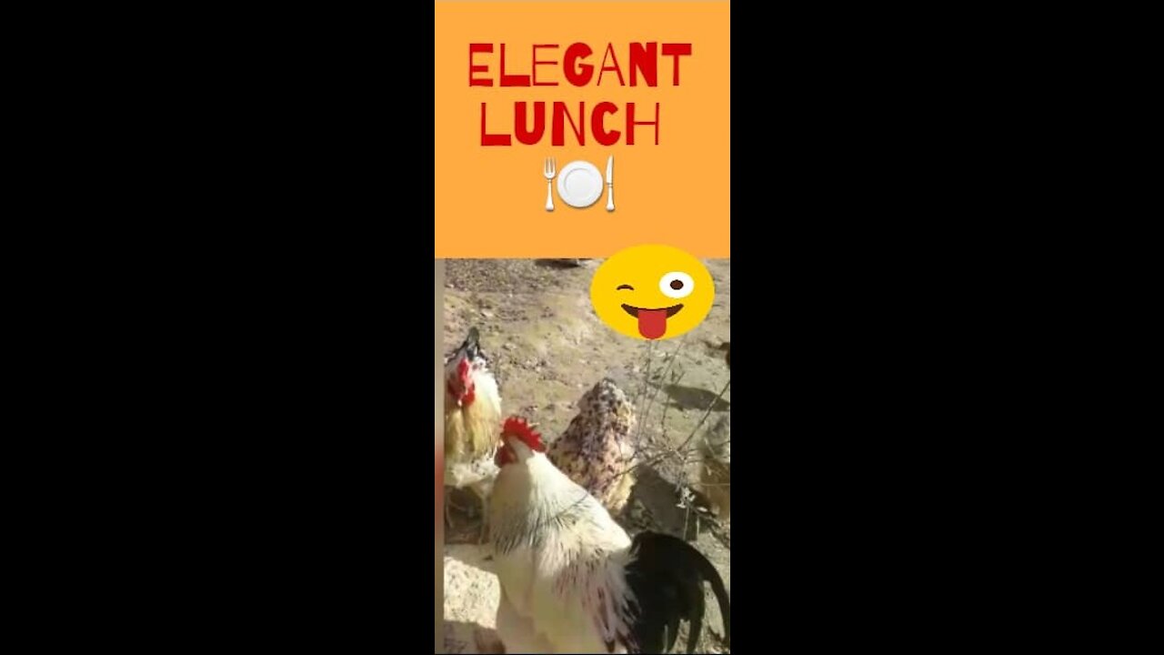 roosters at an elegant lunch