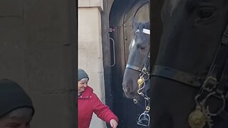 Touching the kings guard boot #thekingsguard