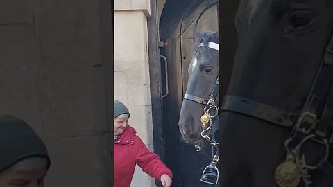 Touching the kings guard boot #thekingsguard