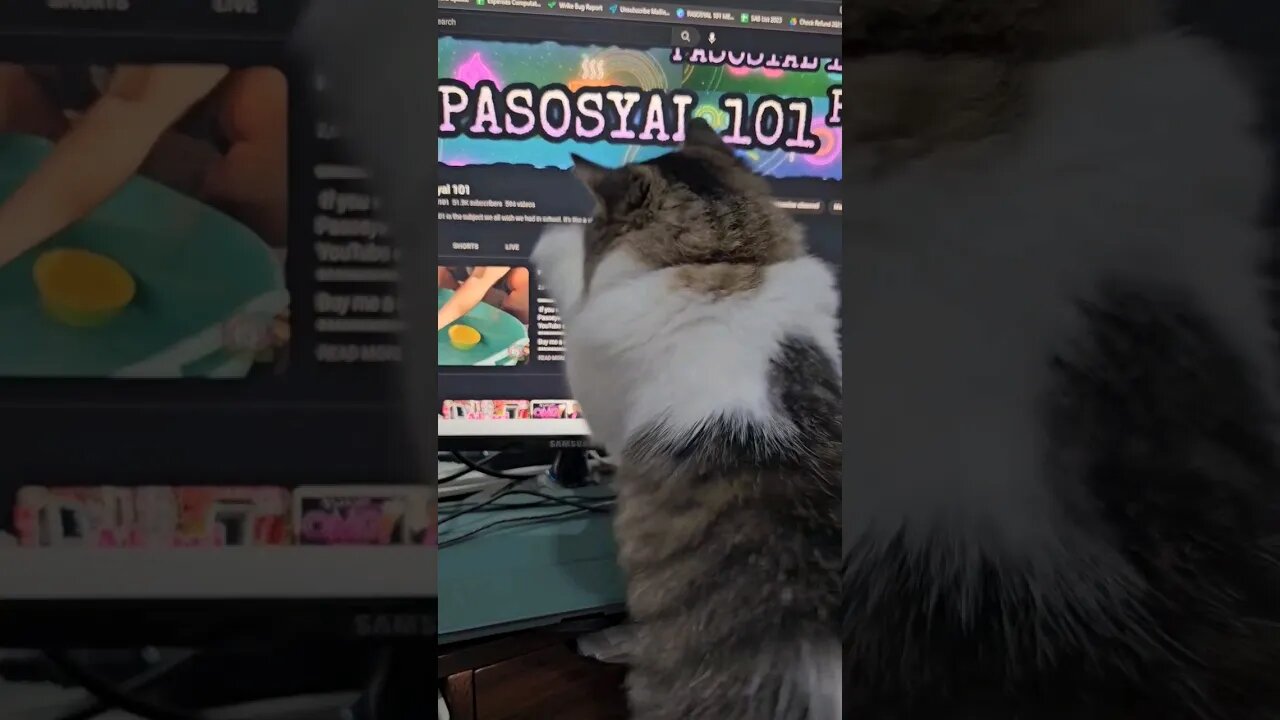 Monday, Ang Pusang Pasosyal...