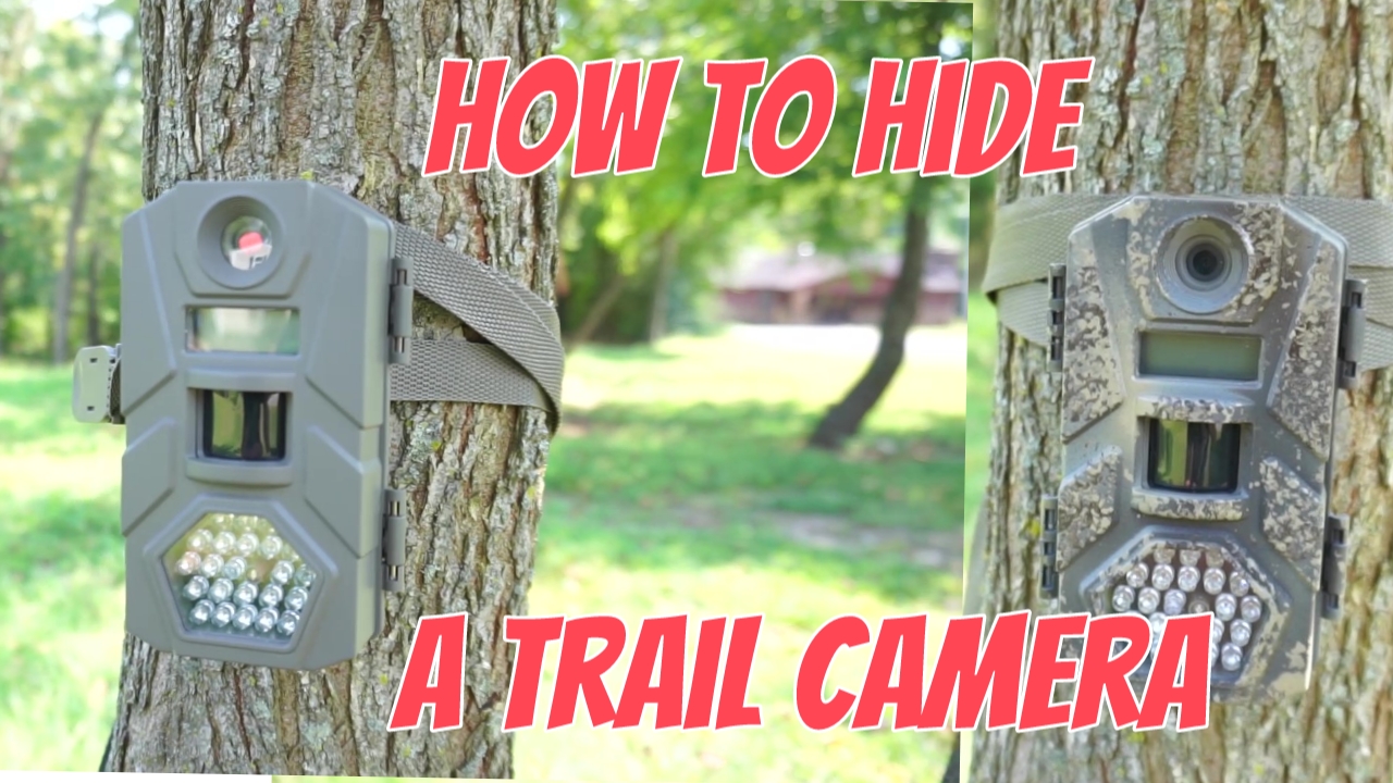 How to hide a trail camera on public land