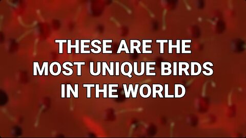 🕊️ Discover the 20 Most Unique Birds Globally! 🌏