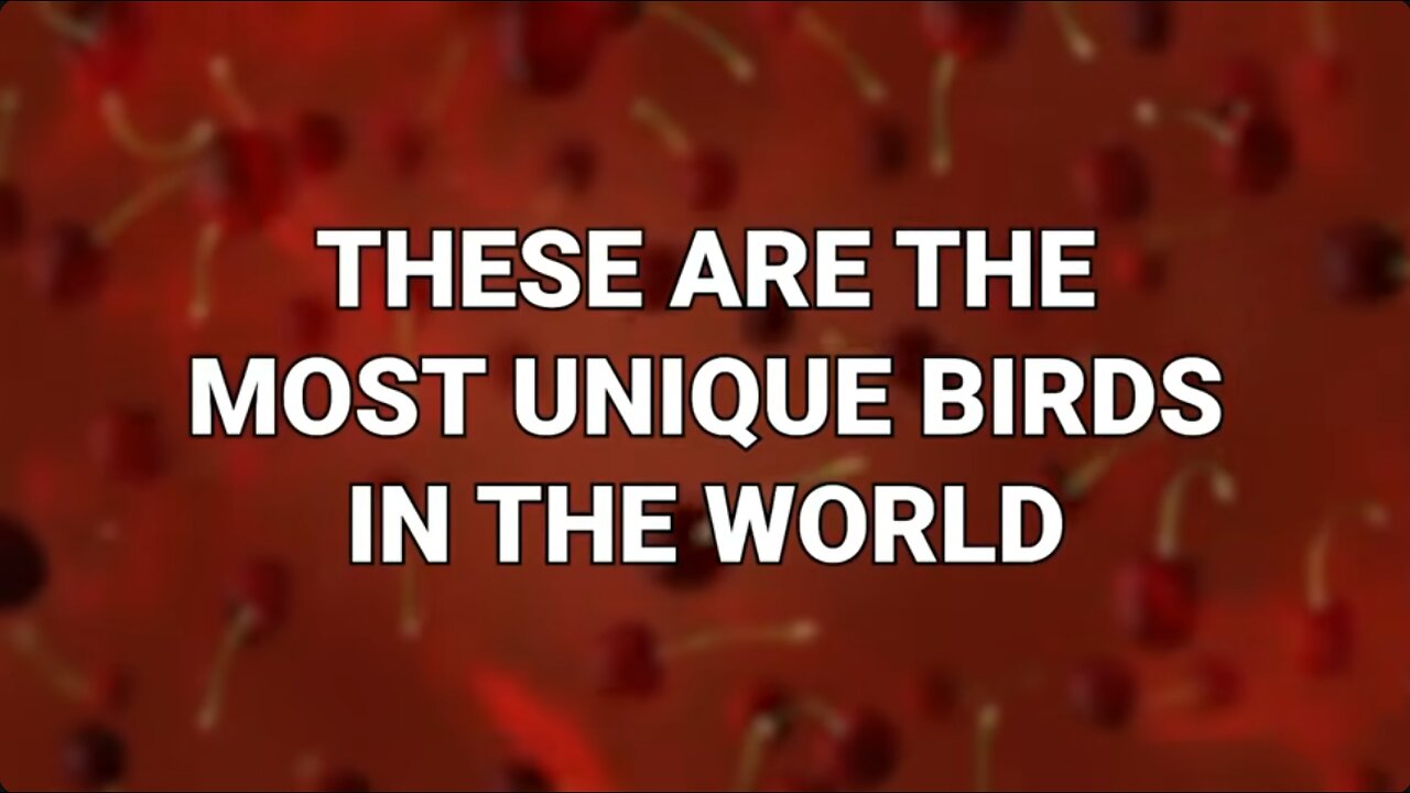 🕊️ Discover the 20 Most Unique Birds Globally! 🌏