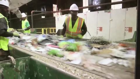 Hillsborough, Pinellas are great at recycling | Digital Short