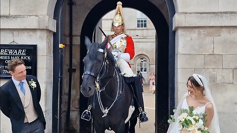 Just married couple pose at horse guards #horseguardsparade