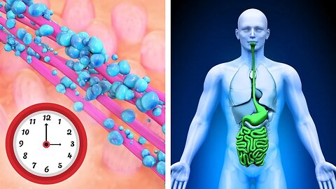 Too Slow or Too Fast? Decode Your Gut Health with This Test!