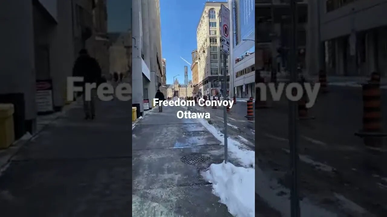 The Freedom Convoy Begins in Ottawa! Live footage!