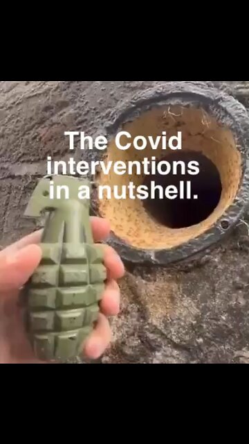 The Covid interventions in a nutshell.