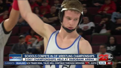 11 local wrestlers medal at state championships