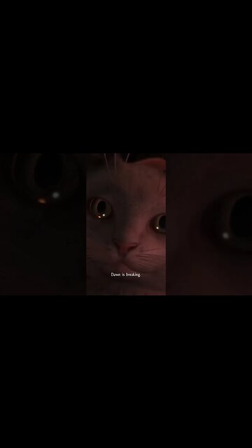 Bro Randomly Pulled Out A Cat !?