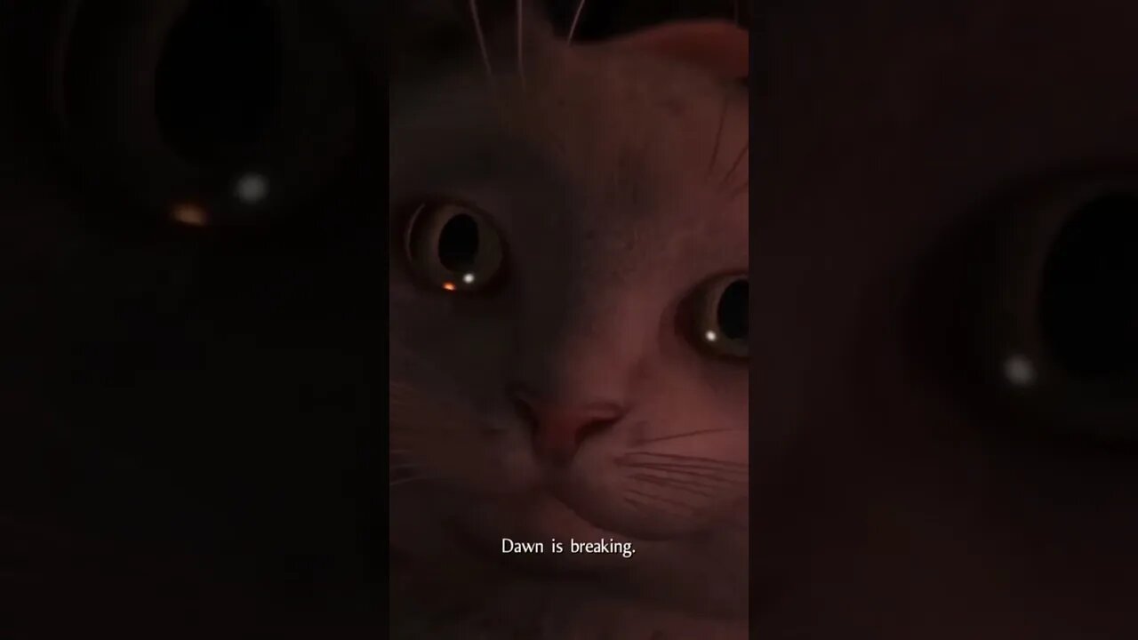 Bro Randomly Pulled Out A Cat !?