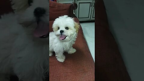#playtime