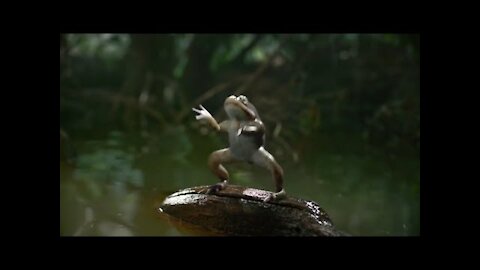 SO FUNNY Video clips | Satus