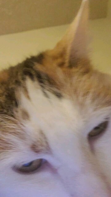 Proverbs Devo Chapter 5