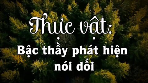 Thực vật bậc thầy phát hiện nói dối và có khả năng siêu cảm | Tinh Hoa TV