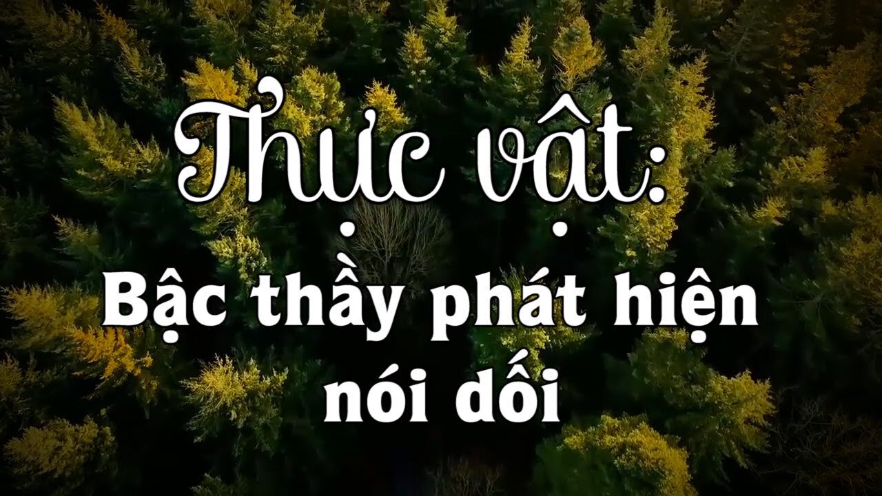 Thực vật bậc thầy phát hiện nói dối và có khả năng siêu cảm | Tinh Hoa TV