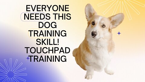 dog touch pad traning skills