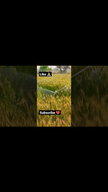 feel the rhythm 🙏🤨shorts,#shorts,joke fun shorts,minecraft shorts,short,joke fun shorts youts #short