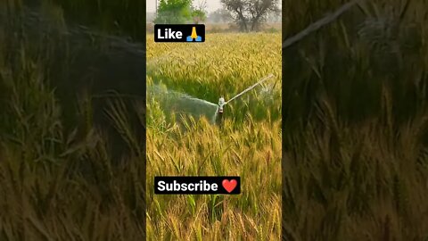 feel the rhythm 🙏🤨shorts,#shorts,joke fun shorts,minecraft shorts,short,joke fun shorts youts #short