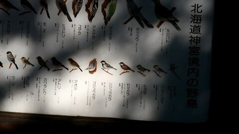 Day 10 in 日本 北海道 札幌 やっと友人と出会いました Episode 4上陸作戦 大成功！