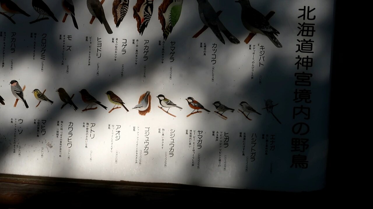 Day 10 in 日本 北海道 札幌 やっと友人と出会いました Episode 4上陸作戦 大成功！