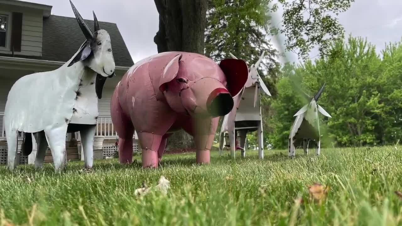 DeWitt family reunited with lost pig lawn ornament one week later