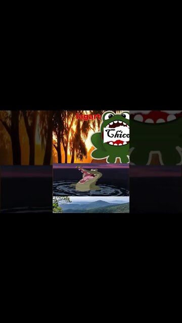 E não foi que a velha jogou o sapo com o meu nome para o jacaré comer.... #shorts