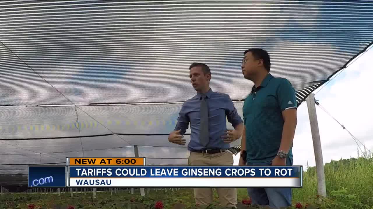 Tariffs put Wisconsin ginseng crop in jeopardy