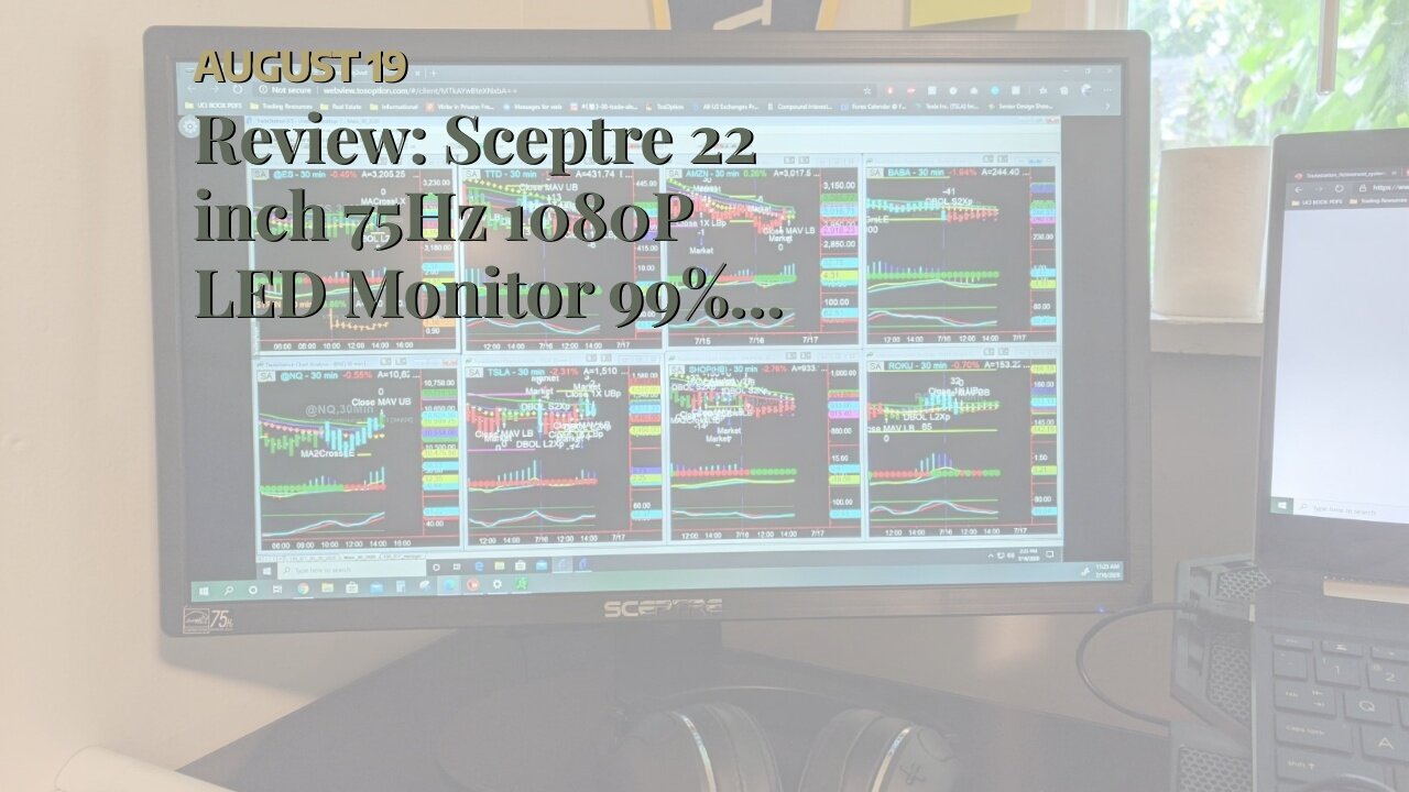 Review: Sceptre 22 inch 75Hz 1080P LED Monitor 99% sRGB HDMI X2 VGA Build-In Speakers, Machine...