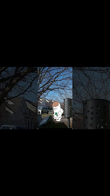 A Sheep With A Potty Visits #Shorts 🚽