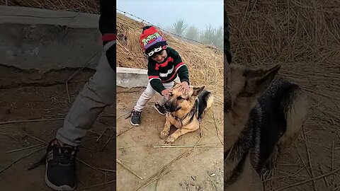 khel run dance #shorts #viral #rudrakrishna #ytshorts #newpost #desi #vlog #dog #shorts #dogs #trend