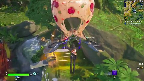 Death on a grassy knoll #80 Fortnite Solos