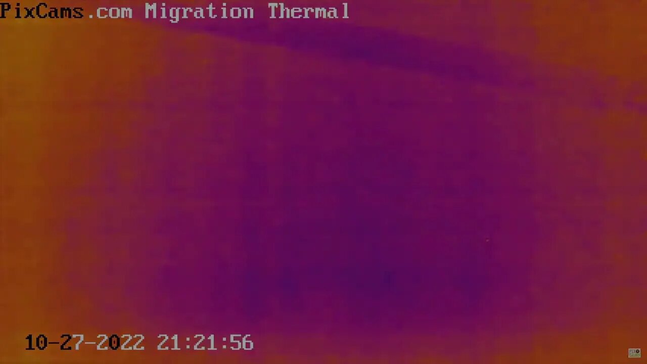 Fall Migration 2022 Thermal Camera - 10/27/2022 Ducks Migrating at Night