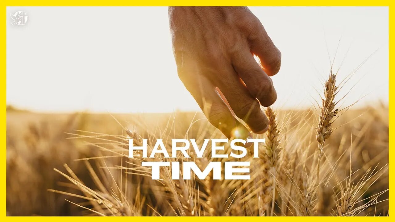 Get up | HARVEST TIME | Cléo Ribeiro Rossafa