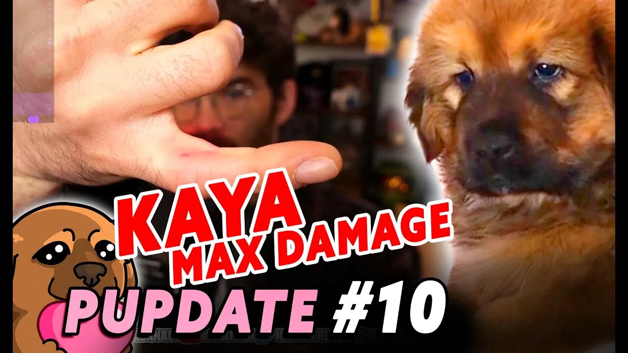 Why ANNE is Kaya's Chew Toy Hasanabi finds out | PUPDATE #10