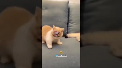 ۲ دسامبر ۲۰۲۲