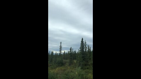 Car Ride in Alaska