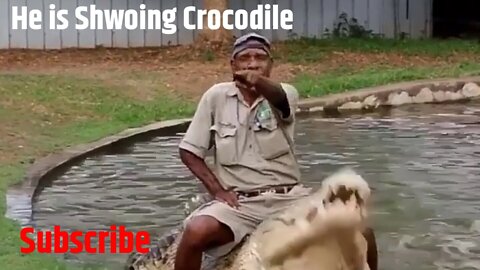 Who is Making Horse To Crocodile