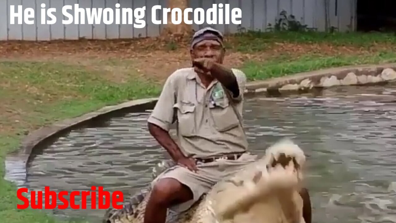 Who is Making Horse To Crocodile