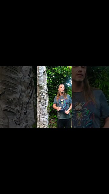 Medicinal Plants of the Amazon Shorts Series